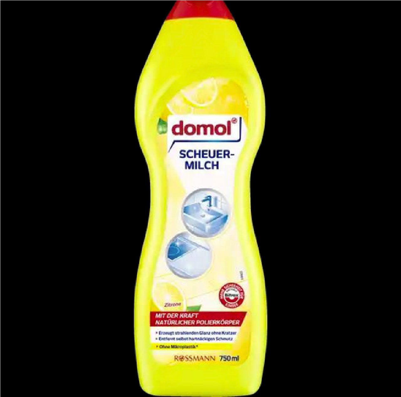 Crème à Récurer SANIYAPUR Professionnelle